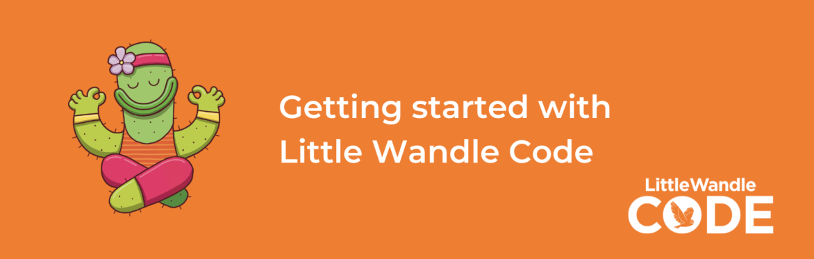 Getting Started with Little Wandle Code