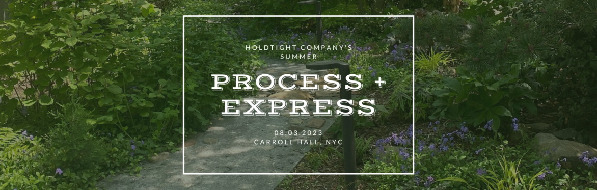 Process + Express:  A Summer Workshop