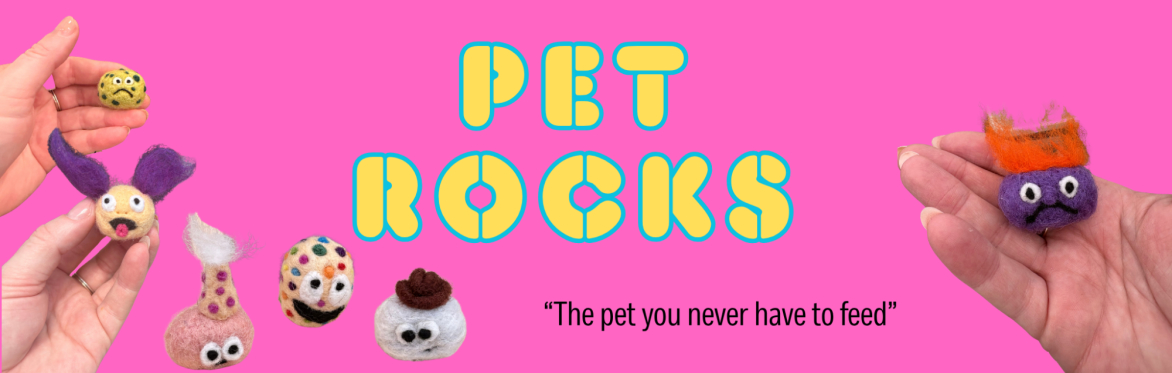 Needle Felting Workshop: Pet Rocks
