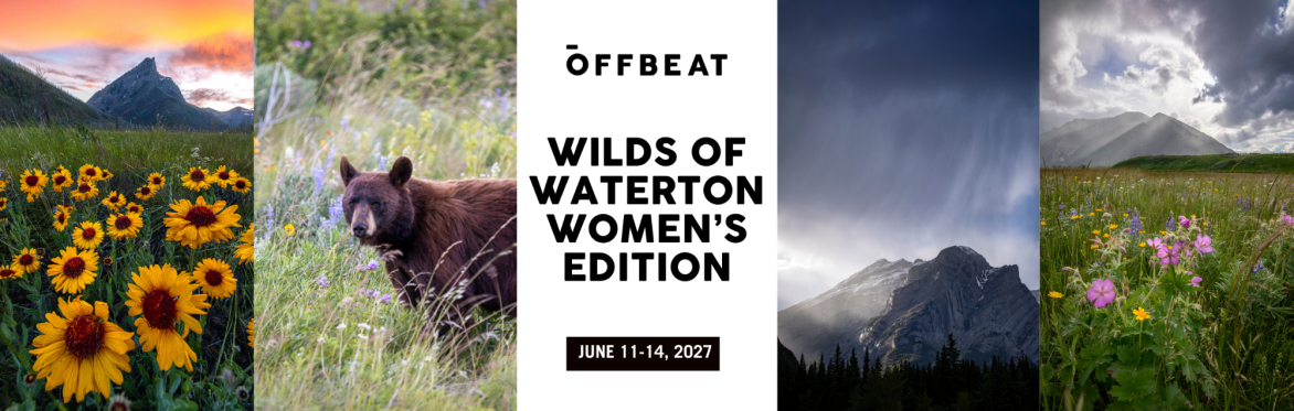 Wilds of Waterton