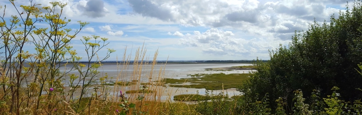 Lydden NNR