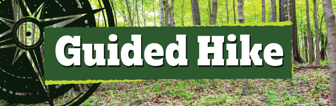 Guided Hike: Lewis Township