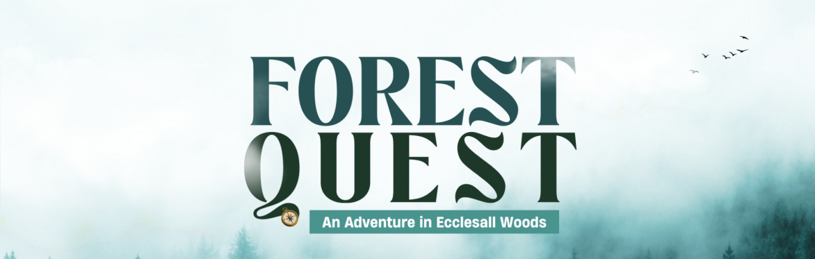 Forest Quest - An Adventure in Ecclesall Woods