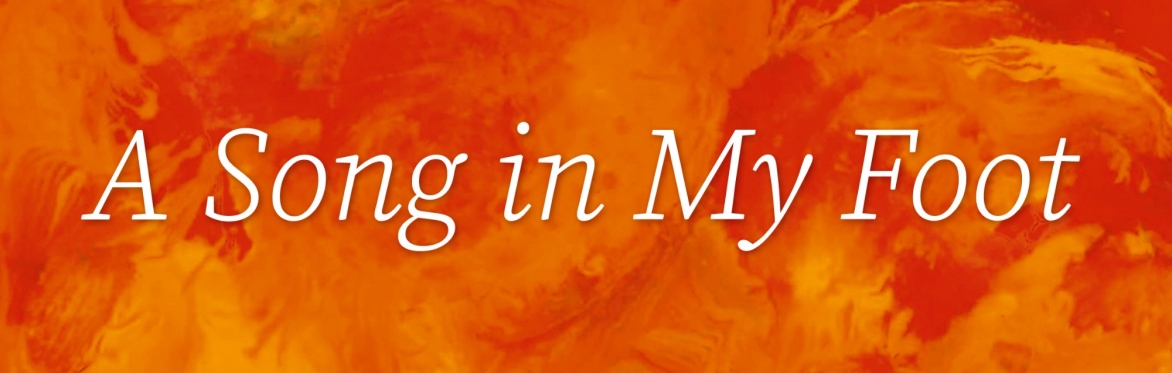 A SONG IN MY FOOT in Bristol - Helen Chadwick Song Theatre - afternoon concert + singing workshop