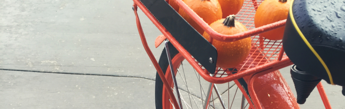 Halloween Bikefest! Bike repair, activities, food + a fancy dress bike ride!