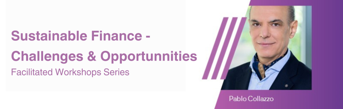 IMI Facilitated Workshop: Sustainable Finance - Challenges & Opportunities, with Pablo Collazzo