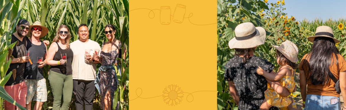 Bauman's Cider Maze & Sunflower Saturday