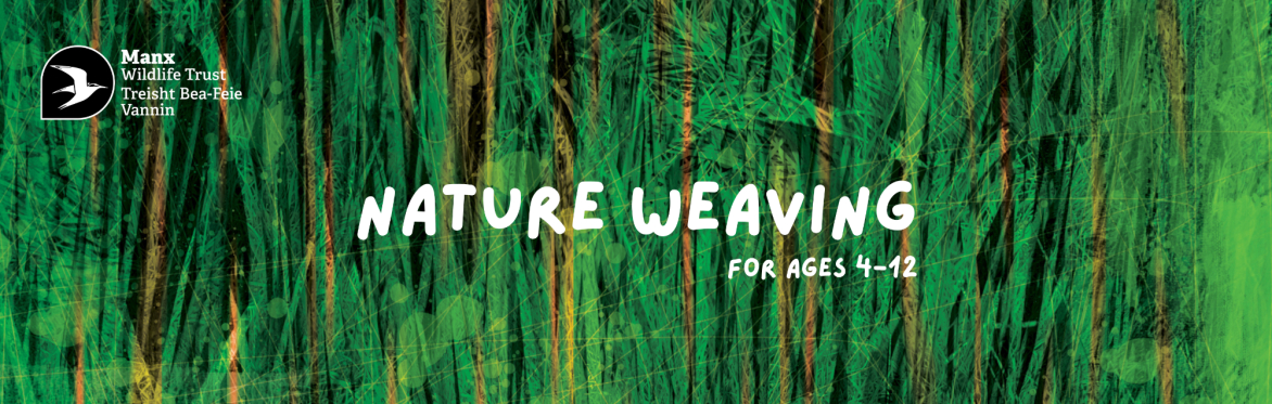 Nature Weaving at MWT Hairpin Woodland Park