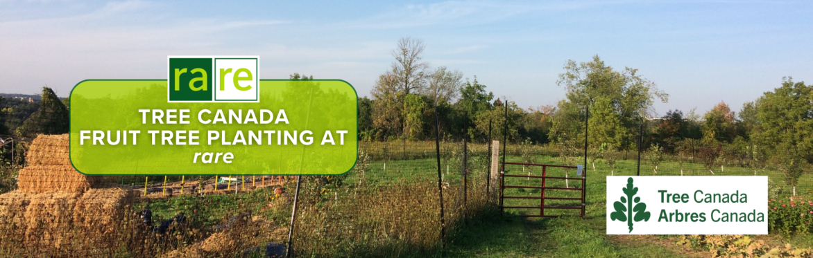 Tree Canada Fruit Tree Planting at rare