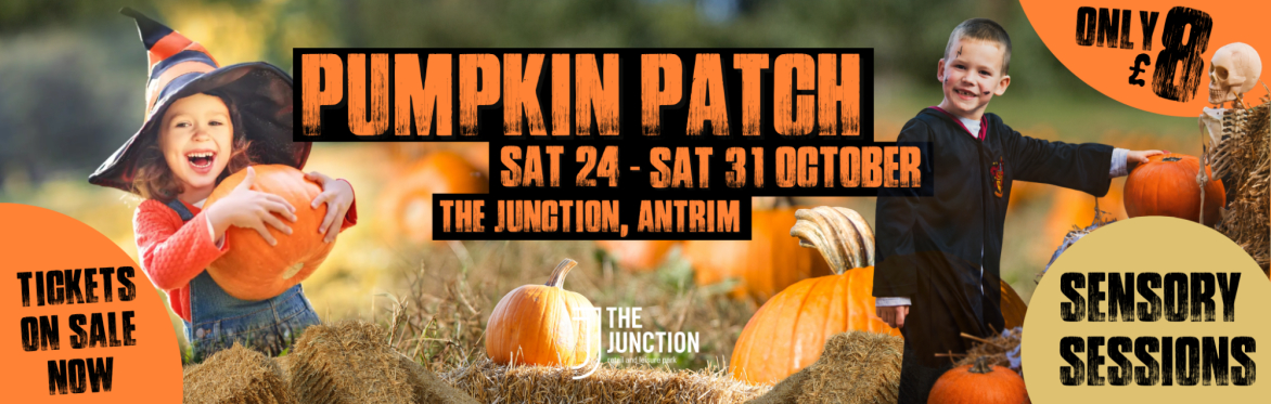 Pumpkin Patch - Sensory Sessions