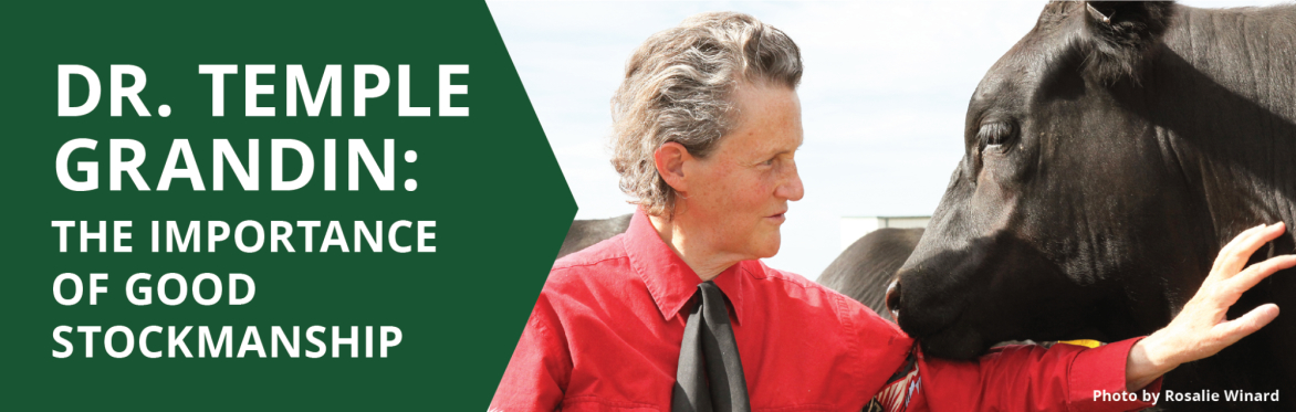 Dr. Temple Grandin – The Importance of Good Stockmanship