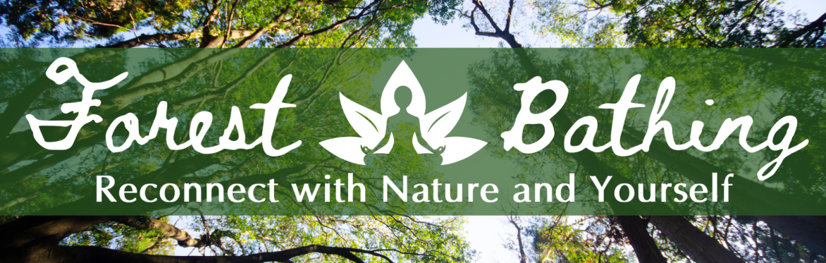 Forest Bathing | Reconnect with Nature and Yourself
