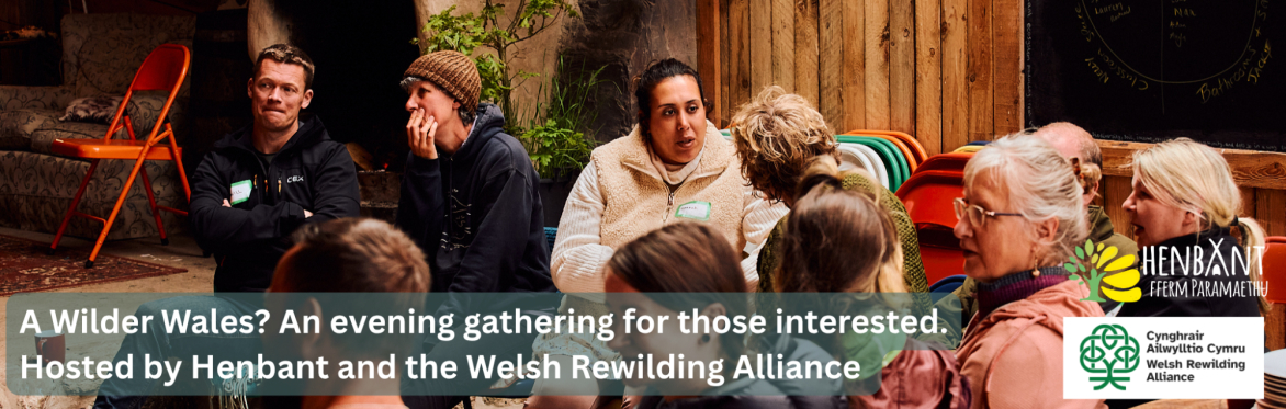 Welsh Rewilding Alliance Get togther - All Welcome     Cyfarfod Cynghrair Ail-wylltio Cymru – Croeso i bawb