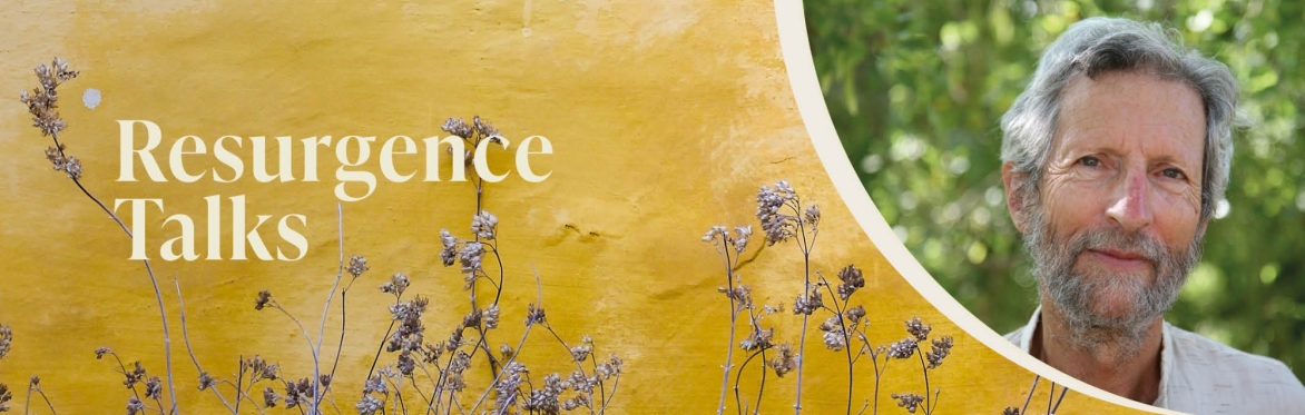 Resurgence Talk: Stephen Fulder - 'How to thrive in hard times'