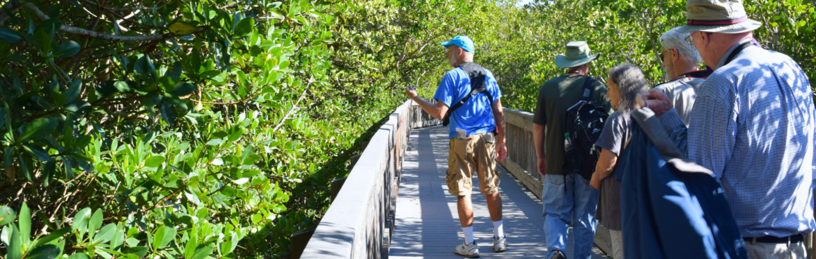 Naturalist Guided Tours in February
