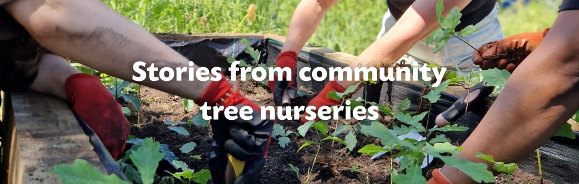 Seed Gathering Season: Stories from community tree nurseries