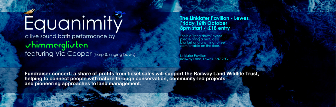 Background image of the ocean from above to advertise the shimmerglisten live event