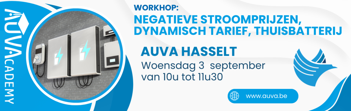 workshop auva hasselt