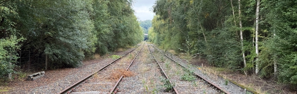 Railway tracks running through a wooded corridor, overgrown and disused. Dense trees line both sides, creating a green tunnel effect stretching into the distance.