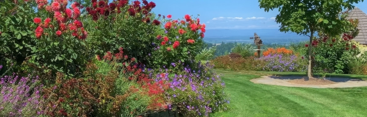 Lux Perennials Garden