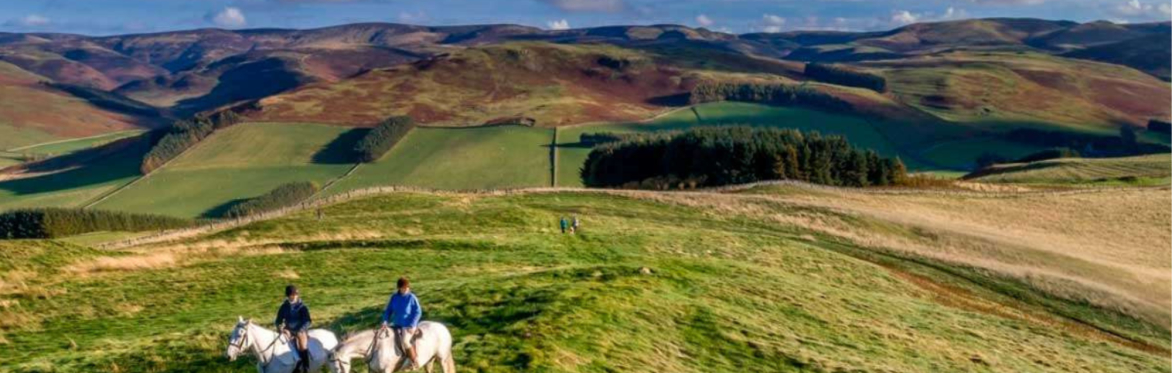 Horse Riding Peebles (Intermediate-Advanced)