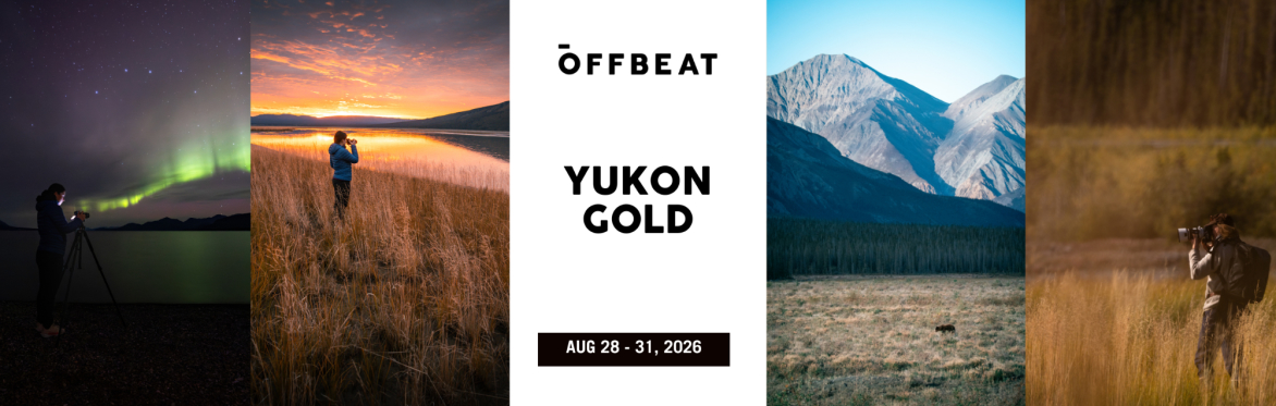 Yukon Gold 2026