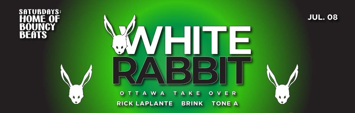 White Rabbits take over Wiggle Room