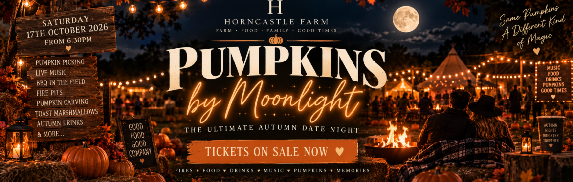 🌙🎃 PUMPKINS BY MOONLIGHT