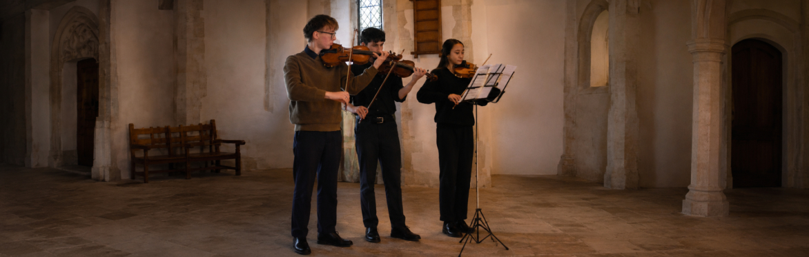 Youthful Brilliance - CREATE MUSIC YOUTH STRING ENSEMBLE