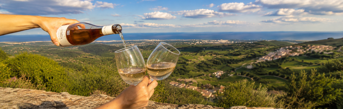 Rosé-Tinted Glasses - Summer in a Glass