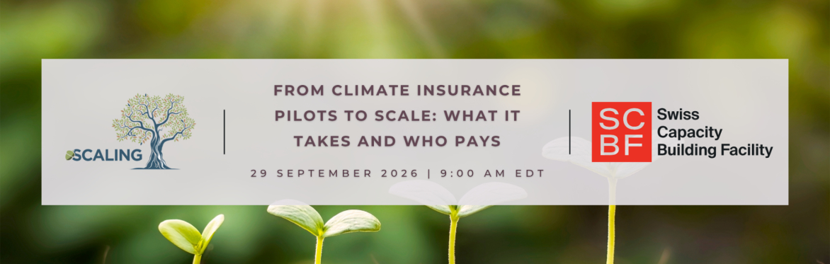 From Climate Insurance Pilots to Scale: What It Takes and Who Pays