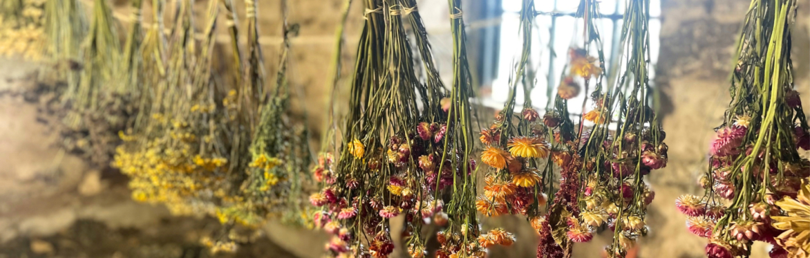 Dried Flower Arranging with Chloë