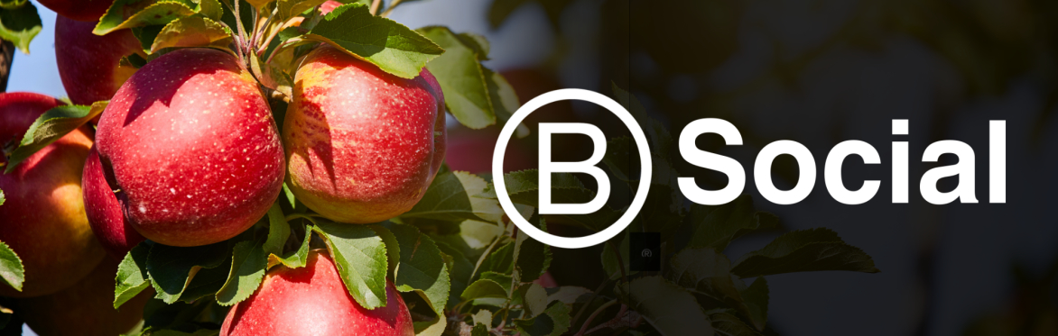 B Social at Finnriver Farm & Cidery