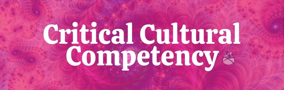 In-Person Chicago | Critical Cultural Competency | December 10th, 2026