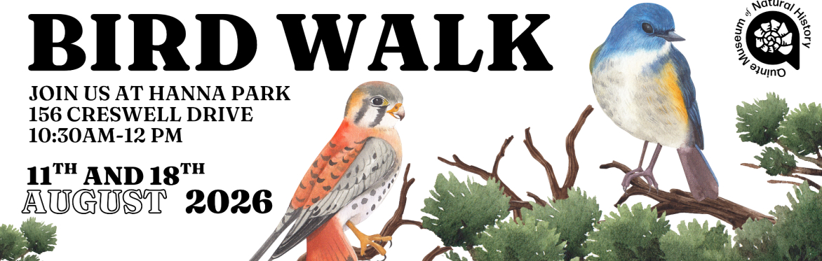 Bird Walk at Hanna Park