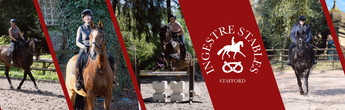 Ingestre Lungeing Day