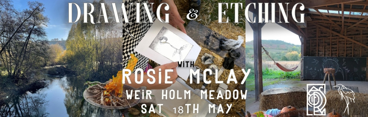 Drawing and Etching in the Meadow