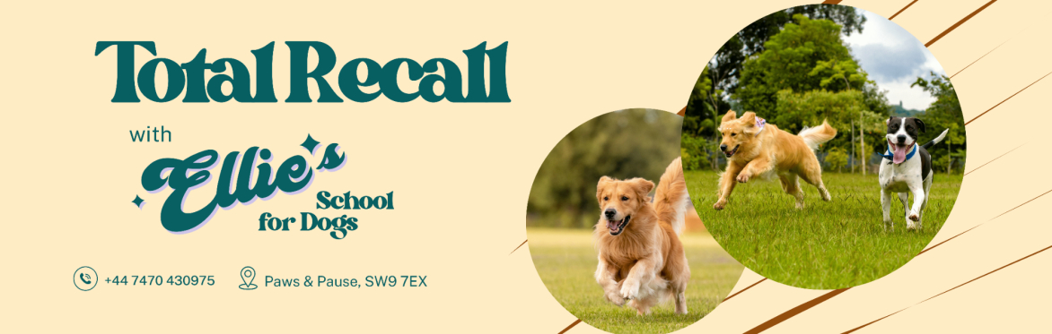 Total Recall with Ellie's School for Dogs