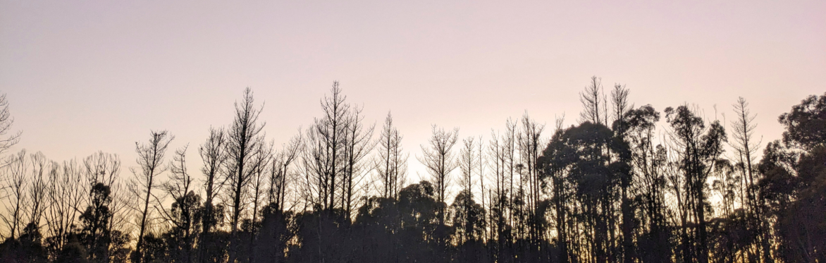 The Art of Samādhi - 9-day Silent Meditation Retreat with Kynan Tan