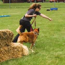 Canine Explorers Workshop 2026