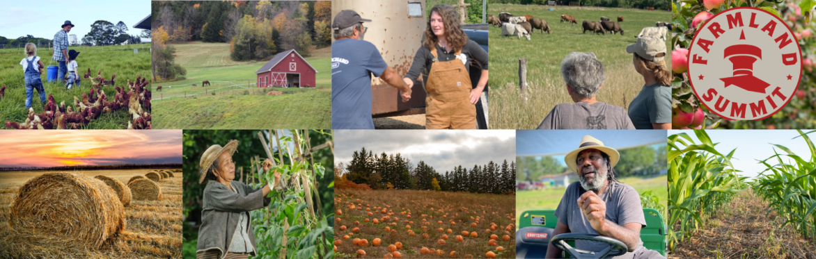Collage of farmland and farmers