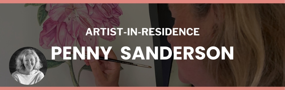 Artist viewing with Penny Sanderson