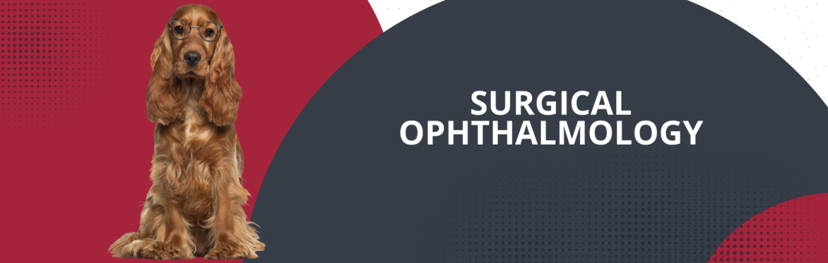 Surgical Ophthalmology Workshop 2026