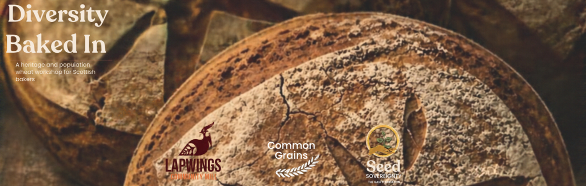 Diversity Baked In: A Heritage Flour Workshop for Scottish Bakers
