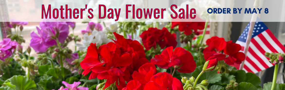 Buffalo Naval Park Mother's Day Geranium Sale