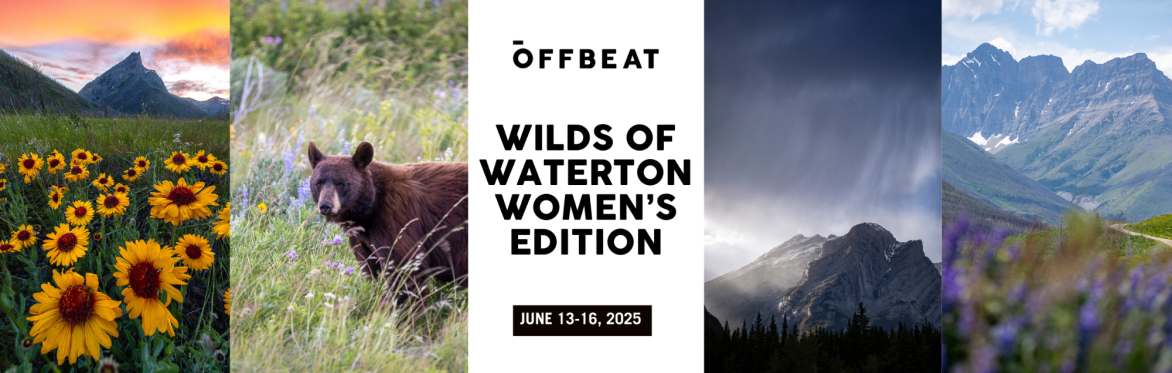 Wilds of Waterton
