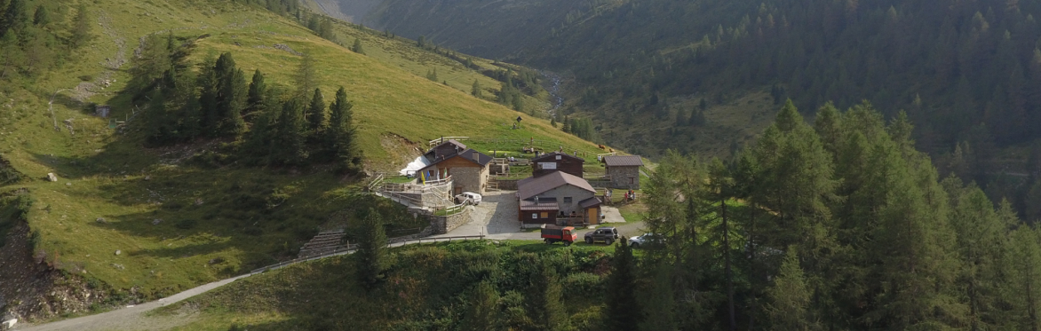 Alla scoperta dei lavori dell'alpeggio