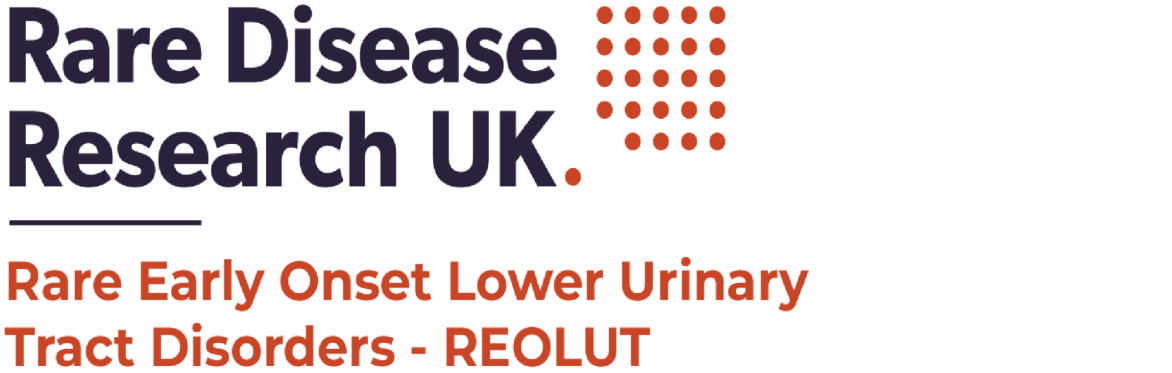 2nd REOLUT Conference