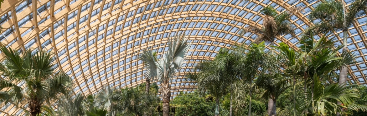 Taiyuan Domes - timber gridshell - Taiyuan, China