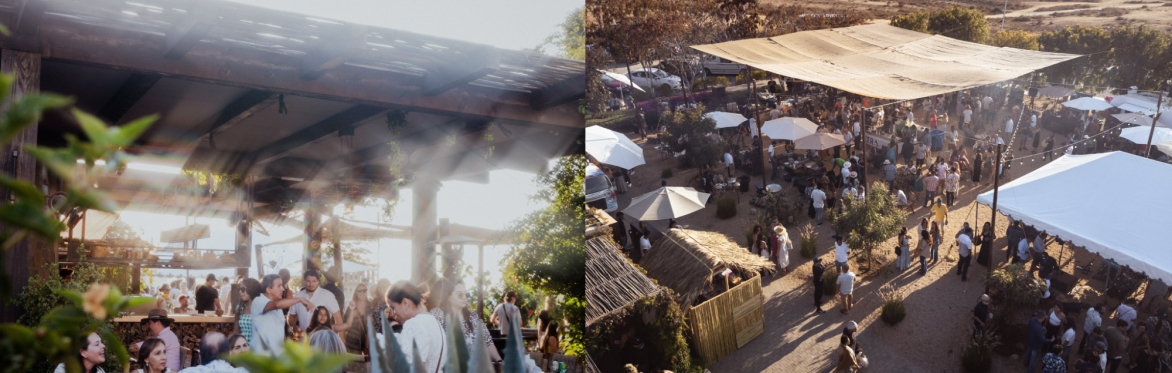 ¡Fiesta at Jazamango! Luxury Lounge Access